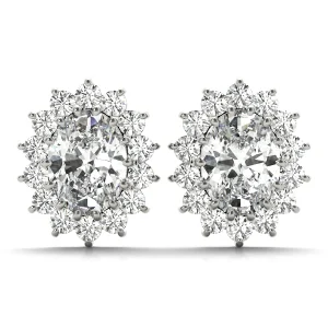 Oval Halo Studs