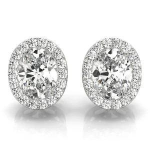 Oval Halo Studs