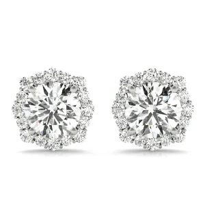 Floral Halo Studs Earrings